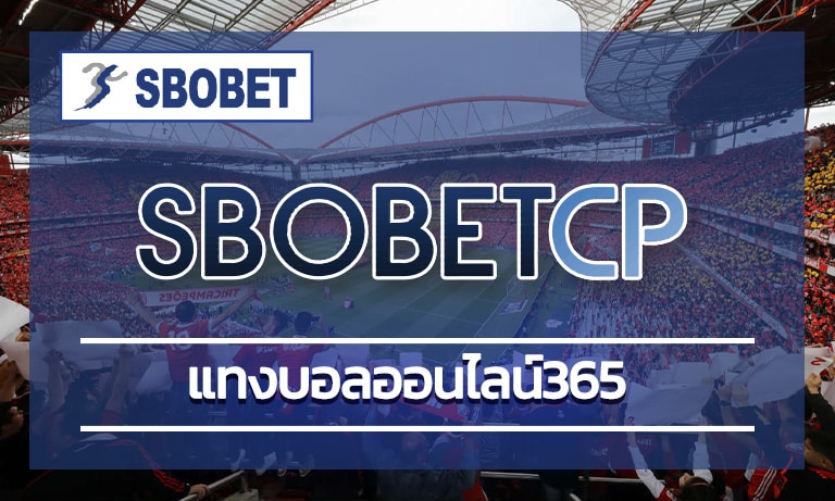 แทงบอลออนไลน์365 โปรโมชั่นดี อัตตราการ ต่อรอง สูงสุด สมัคร SBO